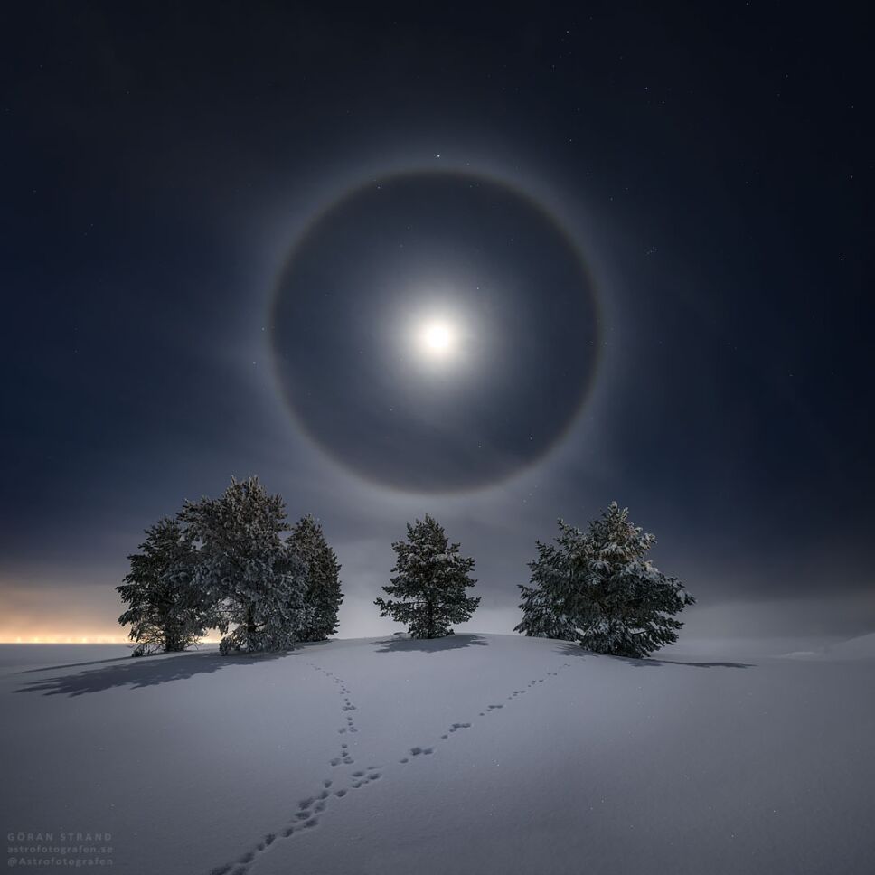 Luna, fotos, 2021 2.jpg