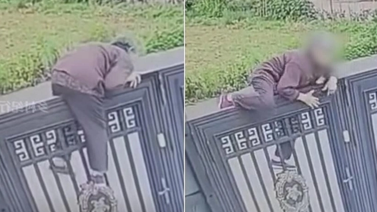 Abuelita escapa asilo