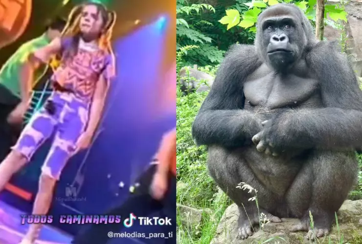 Ella es Melody, la cantante de El Baile del Gorila