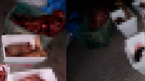 Una hielera con cabezas y restos humanos fueron localizadas en el panteón municipal de Nacajuca en Tabasco