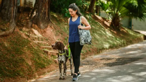 Pasear al perro es un ejercicio de Zona 0