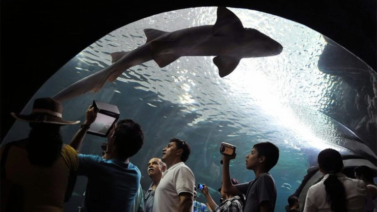 Confirman el fallecimiento de Benito.