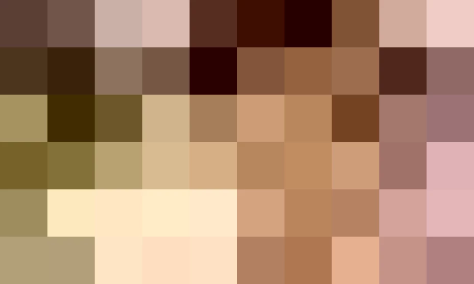 La cruzada nacional contra el hambre y la pensión para adultos mayores serán los programas con más recursos