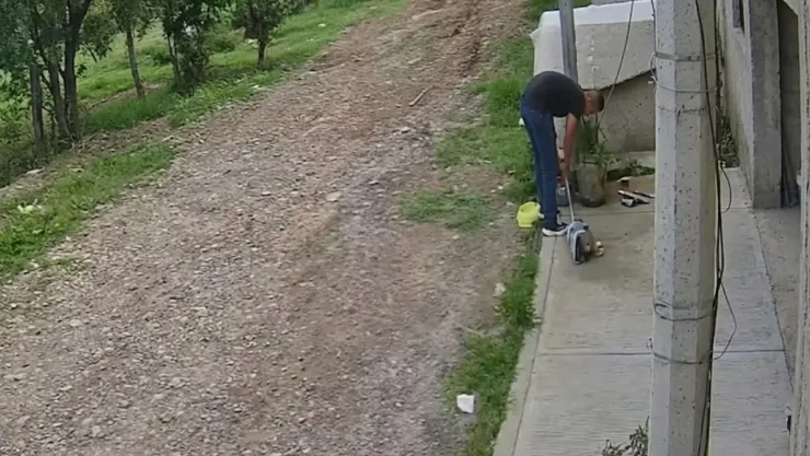 VIDEO: Así abandonaron a cachorrita en Puebla; la dejaron amarrada en la colonia Pedregal de Guadalupe