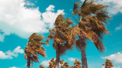 Protección Civil alerta por fuertes vientos en Tijuana y ráfagas