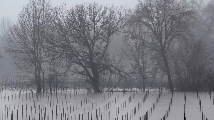 clima mexico 17 enero 2023