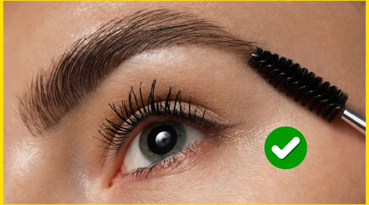 Cejas