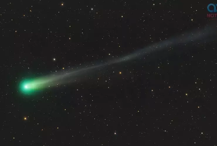 cometa Lemmon.jpg
