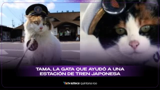 Conoce a Tama, la gata que ayudó a una estación de tren japonesa a prosperar.webp