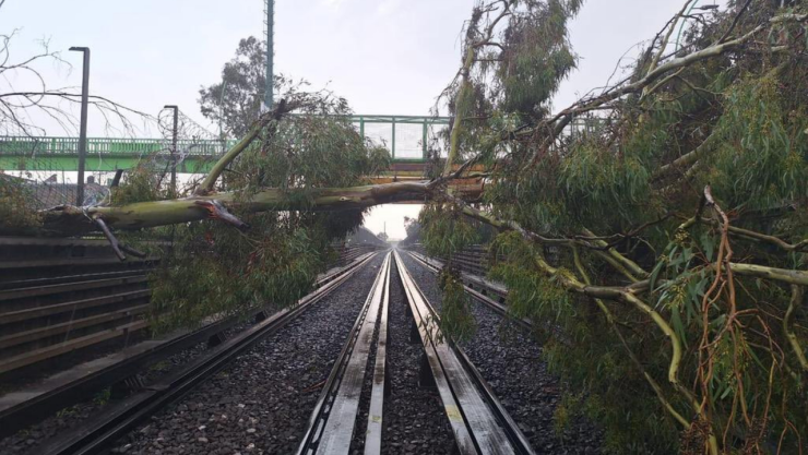 metro cdmx suspende servicio en línea B por caída de árbol hoy 18 de septiembre