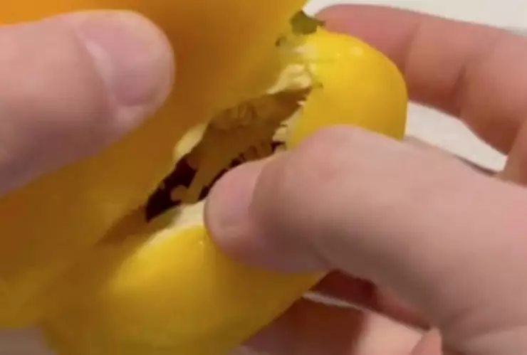Video Tiktoker compra pimiento morrón y se encuentra con sorpresa