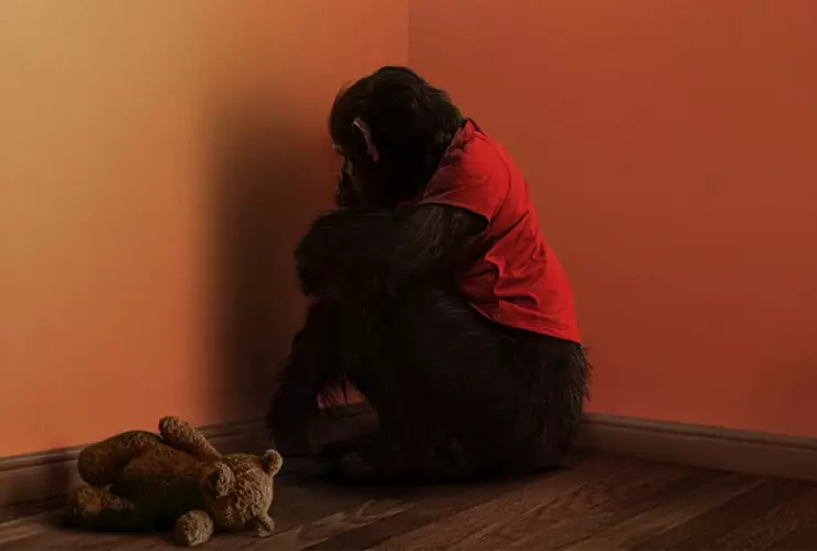 Primate Película 2026