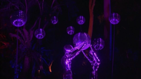 foto2_LIGHTSCAPE_ESPECTACULO_NAVIDEÑO_LOS_ANGELES.jpg