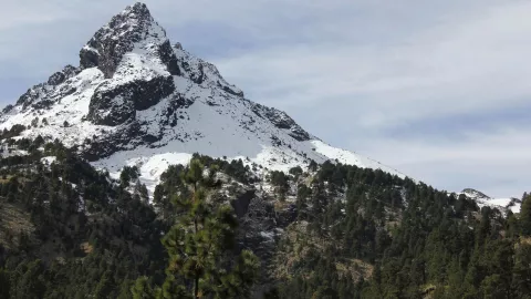 Caerá nieve Estos son los municipios de Jalisco donde el termómetro llegó a 1°C