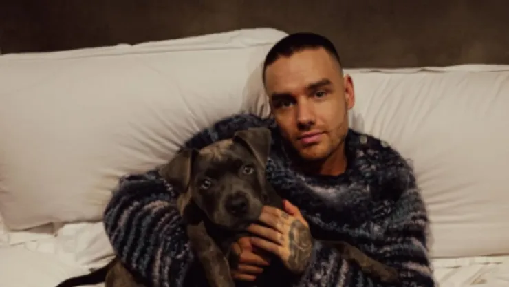 confirman-retiran-demanda-contra-liam-payne-razon.jpg
