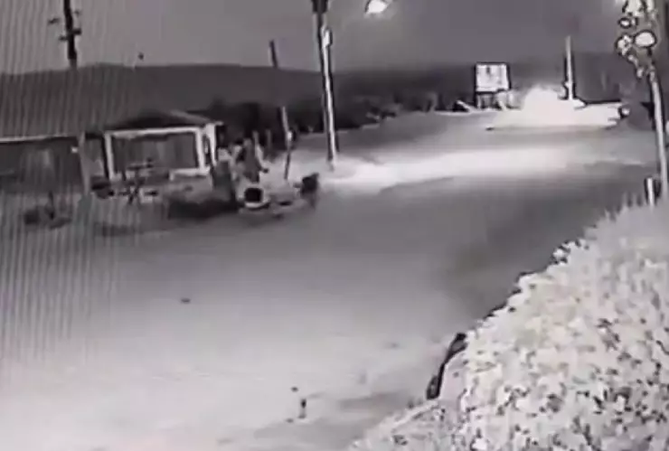 Perro se transforma en humano y las cámaras GRABAN el momento