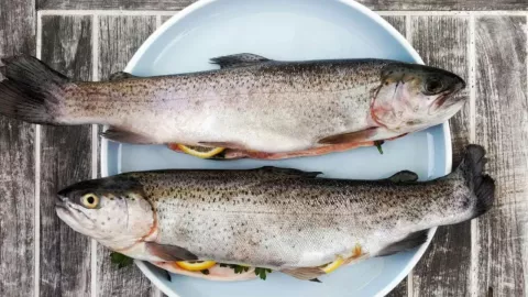 Semana Santa 2025: Aprende a identificar el falso bacalao