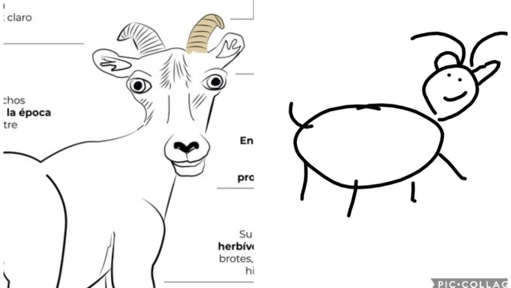 borrego-cimarron-memes-profepa