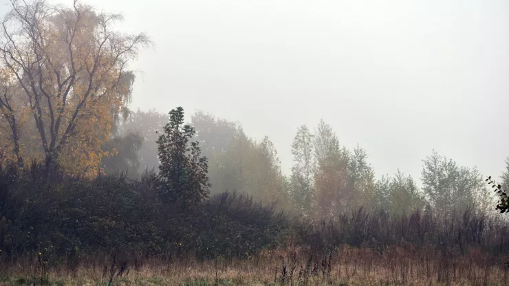Clima en Aguascalientes ¿A partir de qué mes del 2024 comenzará a bajar la temperatura