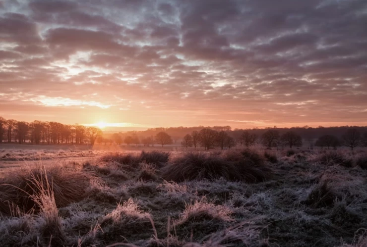 Frío en Guanajuato (1).png