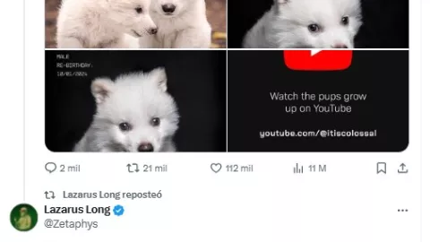 podrían crear dinosauros tras llegada de lobo terribles