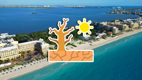 ¿Bochorno sabroso_ Esta es la hora EXACTA de MÁS CALOR en Cancún HOY 9 de marzo de 2026.webp