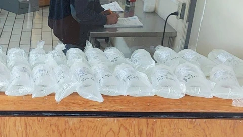 semana-santa-2024-estas-son-las-6-playas-que-no-deberías-visitar-cofepris-cuerpo