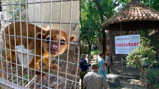 Clausuran parque en Morelos por maltrato animal.
