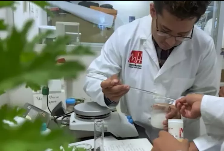 Estudiantes de la FES Zaragoza, crean gel repelente contra mosquitos transmisores de dengue, zika y chikungunya