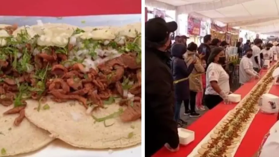 taco metepec mas grande insectos