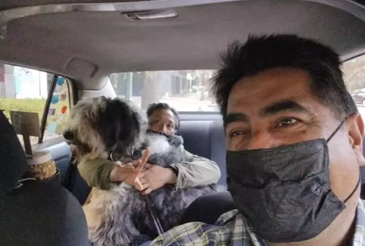 Un chofer y su taxi se viralizan por llevar mascotas en CDMX 1.jpeg