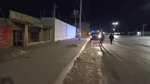 WhatsApp Image 2025-01-08 at 8.52.56 PM.jpeg