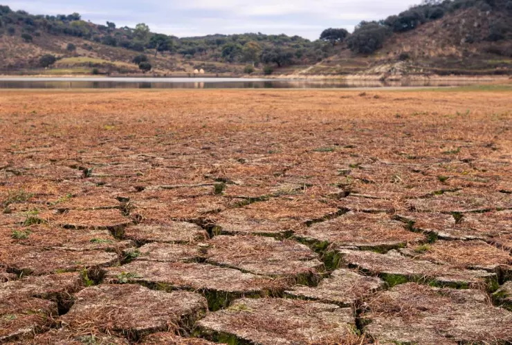 Sequía que azota al estado de Chihuahua