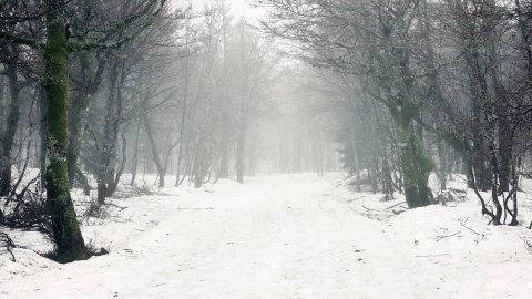 Vórtice polar diciembre