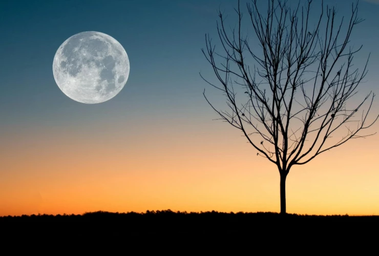 Luna-de-Ciervo-2024-cuándo-y-cómo-se-verá-en-México