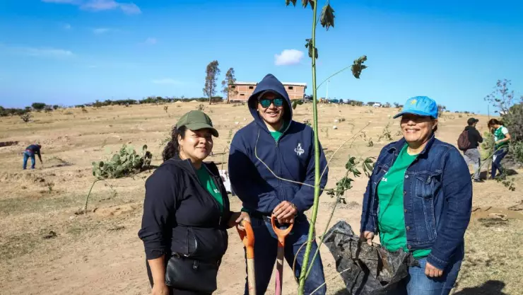 Anuncian reforestación en León 