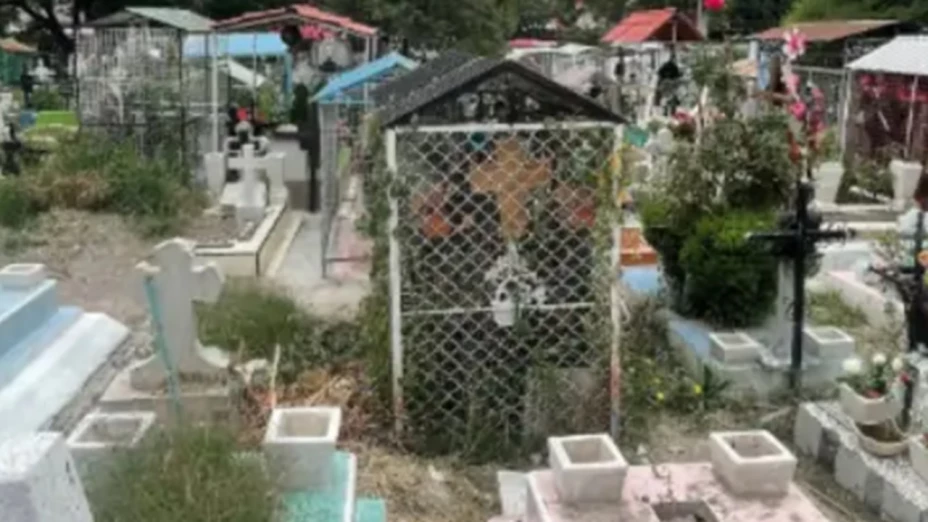 Encuentran cuerpo de mujer sobre la tumba de su hermano; era devorada por perros