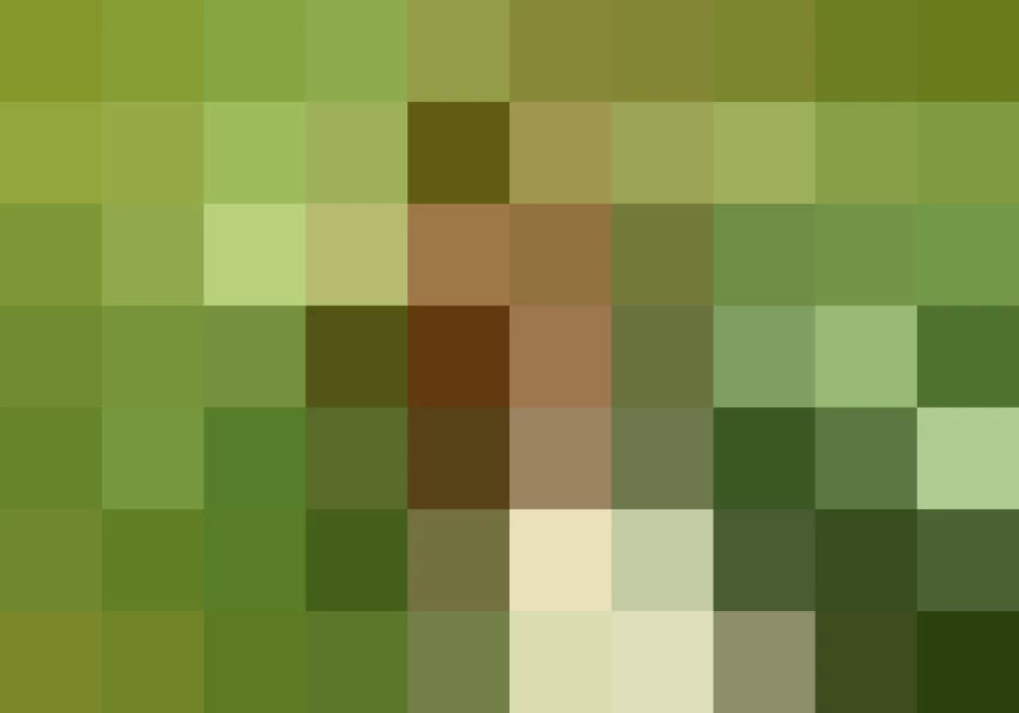 Estados con mejores prepas