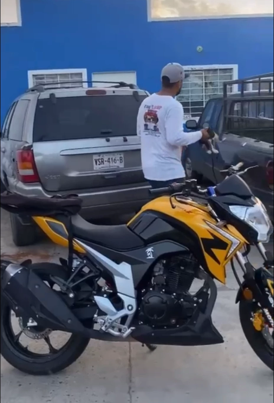 Trabajadores de Hot Dogs en Mazatlán maltratan a gato.