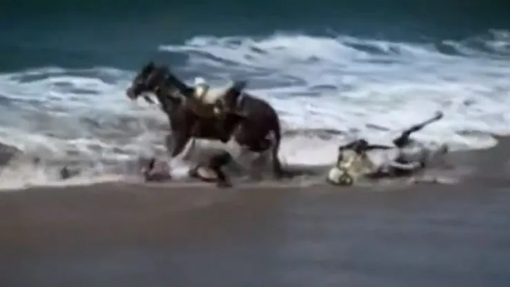 Caballos arrastrados por el mar en Mazatlán