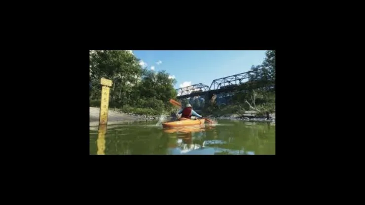 Kayak