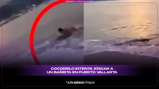 Turista logra escapar del ataque de un cocodrilo en Puerto Vallarta