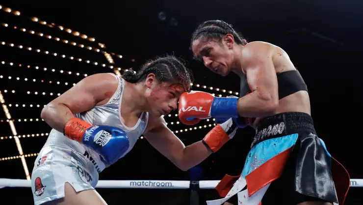 Amanda Serrano vs Erika Cruz