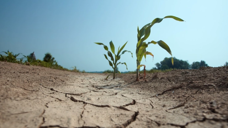 La anomalía climática que puede impactar de manera severa en el norte de México