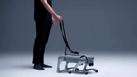 perro-robot-ia-intuicell-humanos