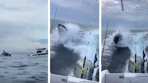 orca lancha pescadores Sinaloa