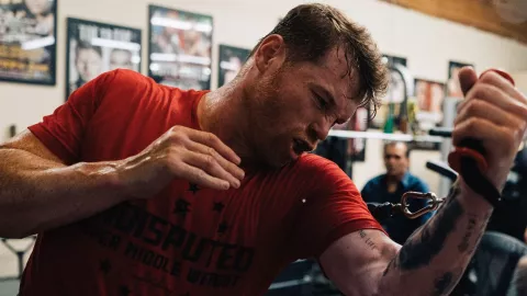 Canelo (1).jpg