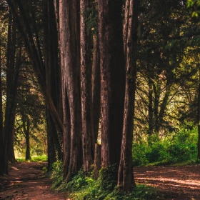 El sendero cerca de CDMX que tiene vistas impresionantes y es muy fácil de caminar