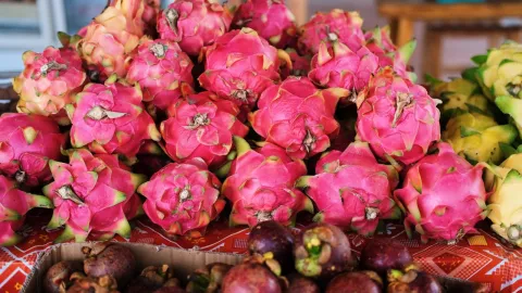 Feria de la Pitahaya 2024