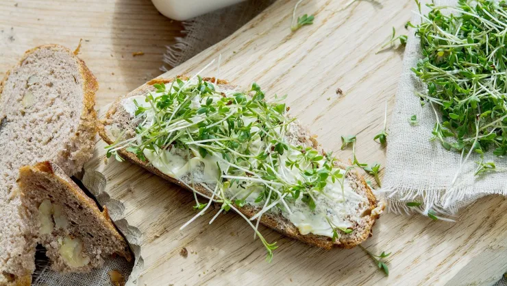Este es el superalimento que aporta numerosos beneficios al organismo